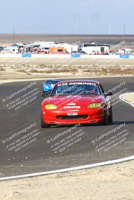 media/Jan-25-2025-CalClub SCCA (Sat) [[03c98a249e]]/Race 4/